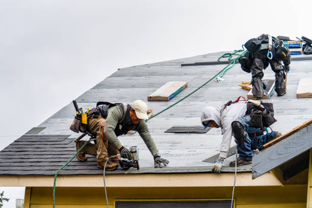Professional Gutter Installation technician working in Alvord, IA